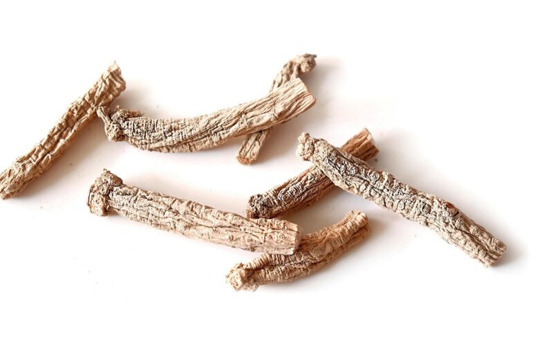 party ginseng, culinary herbs, traditional chinese medicine, spices