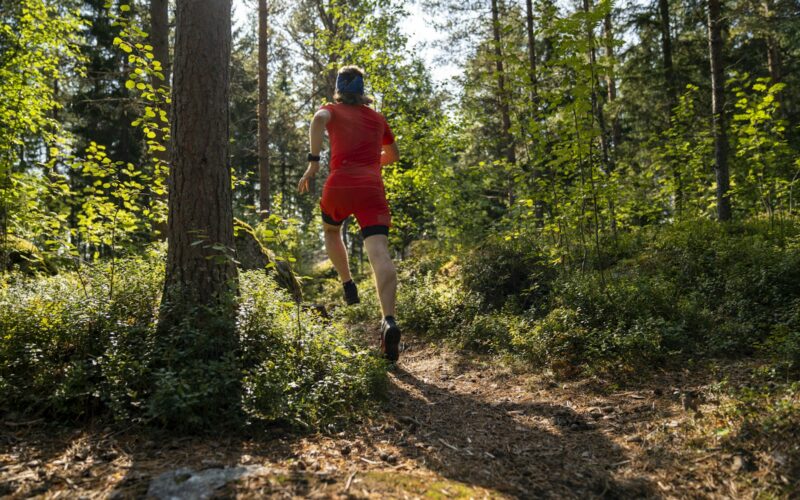 Bieganie po lesie: porady, trening i ćwiczenia
