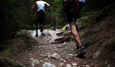 Pieniny by UTMB w światowym cyklu. Pierwszy taki bieg w Polsce, zapisy 3 listopada